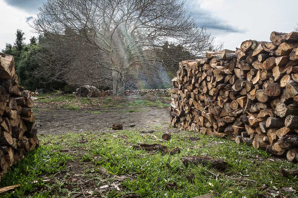 Stacked cords of wood near Osorno Volcano, Chile